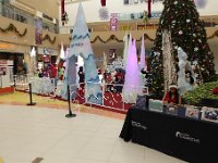 P1010123  including the Santa picture taking business