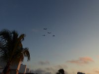 P1010139