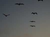 P1010140