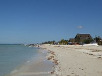 P1010310