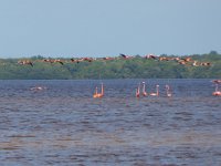 P1010392