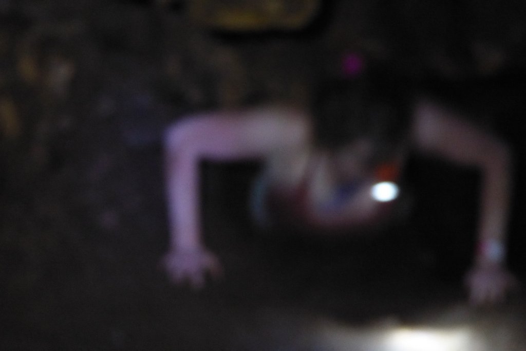 P1010231