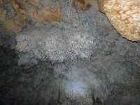P1200639