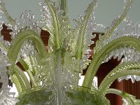 P1010554