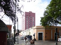 P1010685