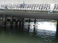 DSCN4571