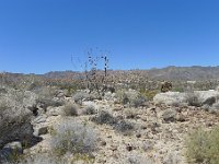 P1220291