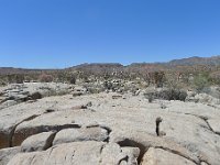 P1220292