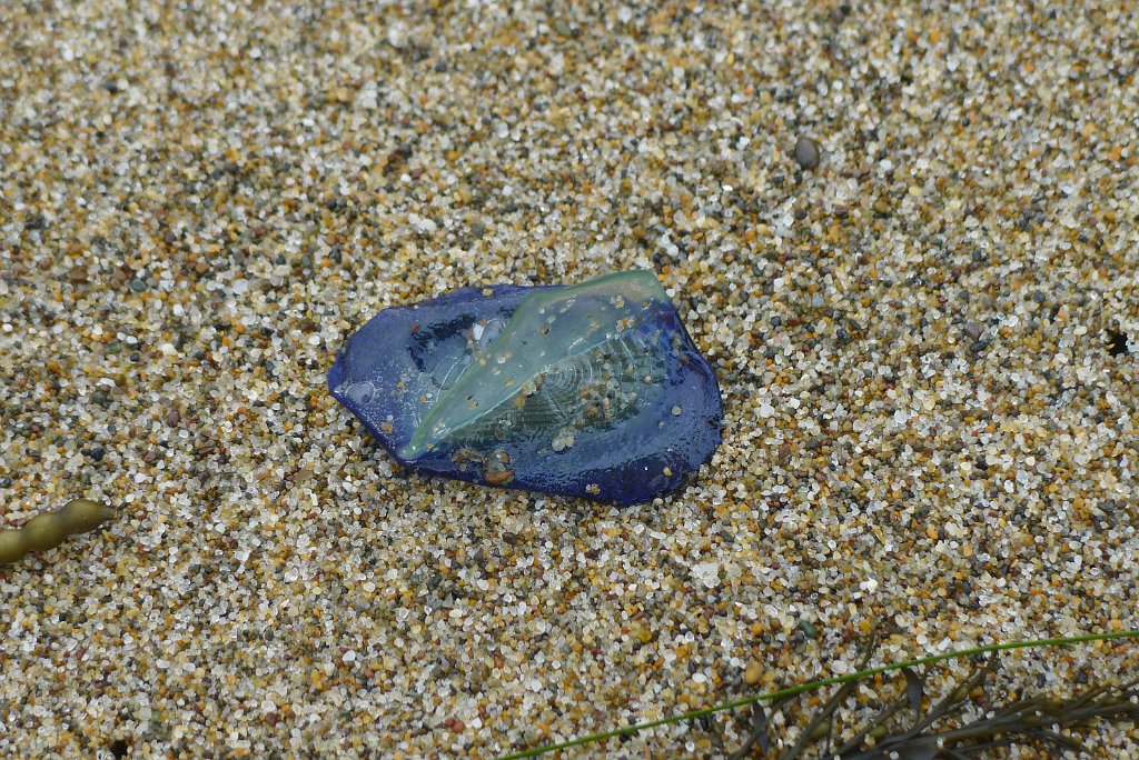 P1220312