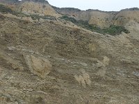 P1220362