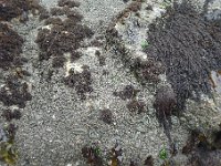 P1220404