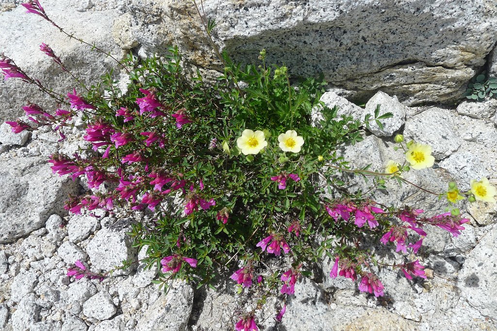 P1220522