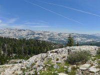 P1220463