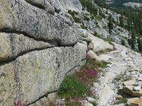 P1220518