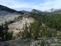 P1220554