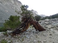P1110559
