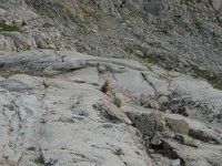 P1110582