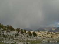 P1110607