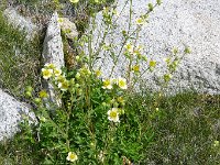 P1220903