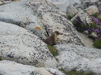 P1220914