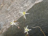 P1220922