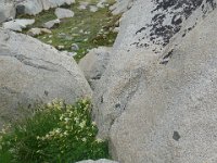 P1220930