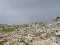 P1220952