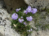 P1230045