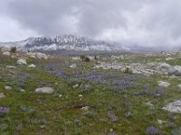 P1230098