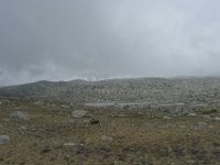 P1230100