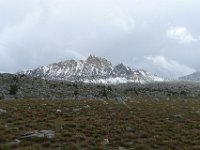P1230115