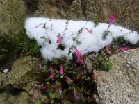 P1230140