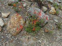 P1230144