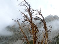 P1230153
