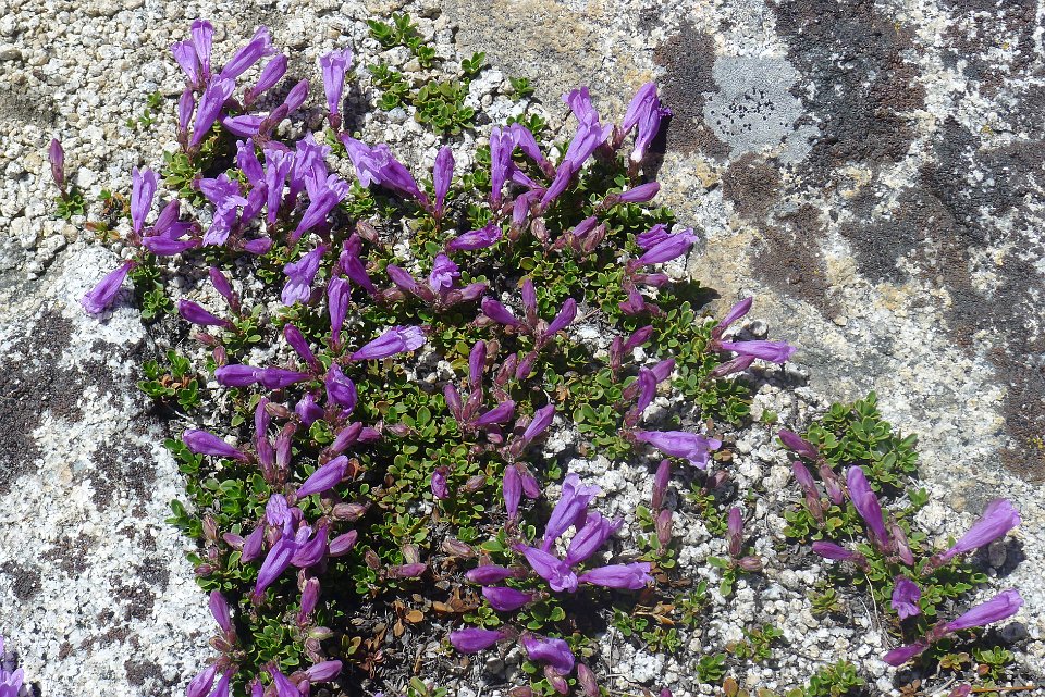 P1220716