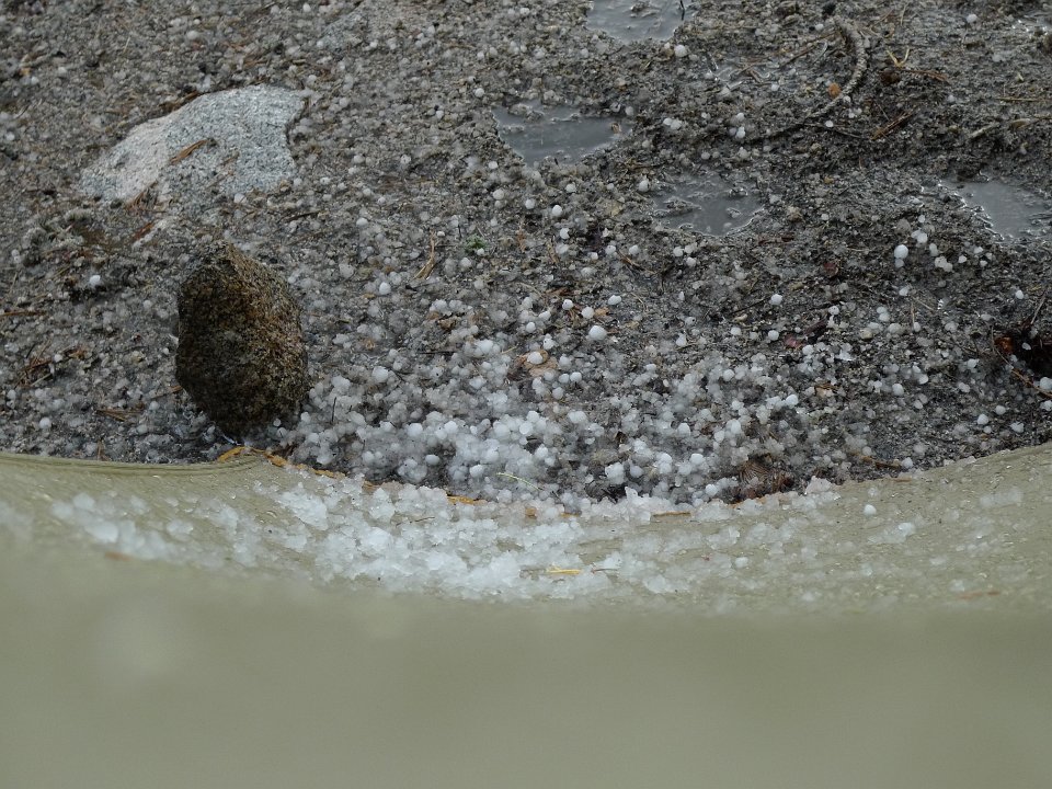 P1110525
