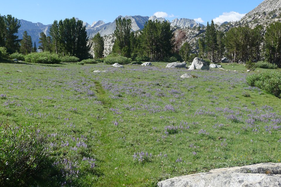 P1220845