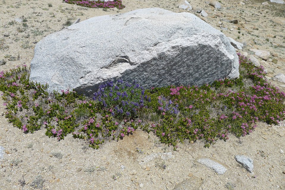 P1220735