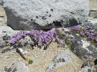 P1220732