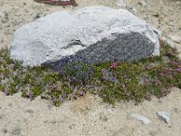 P1220735