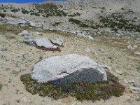 P1220736