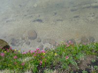 P1220794