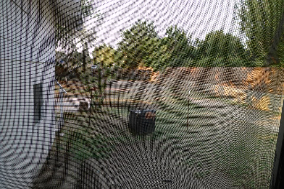 P1230554