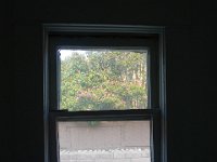 P1230510