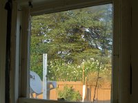 P1230538