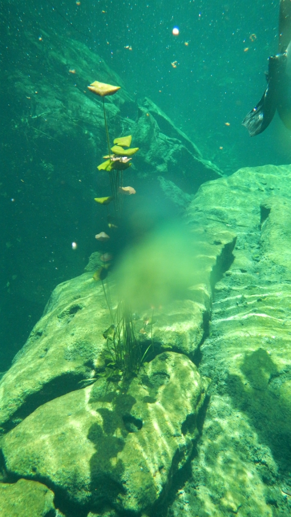 DSCN4721