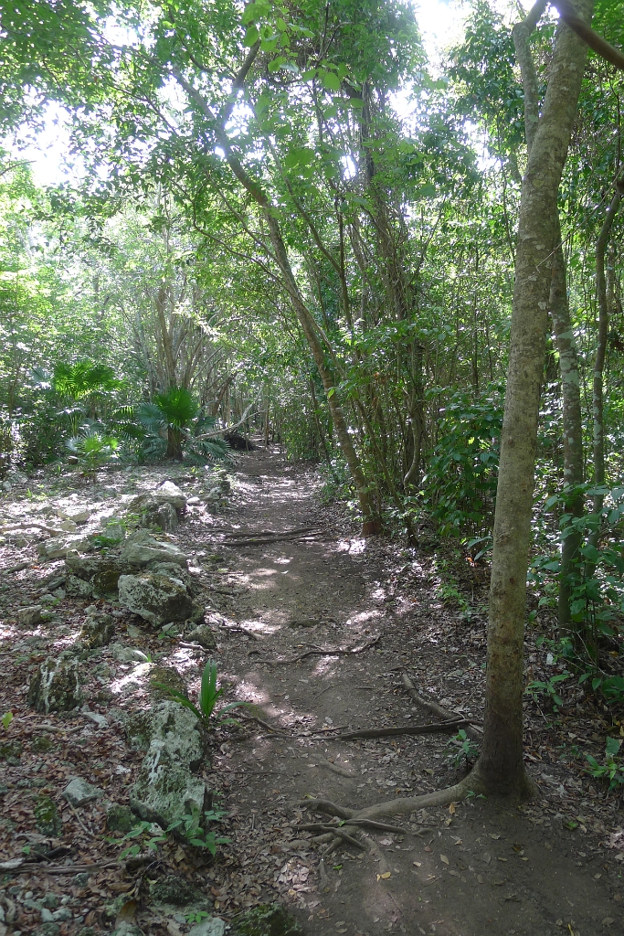 P1230991