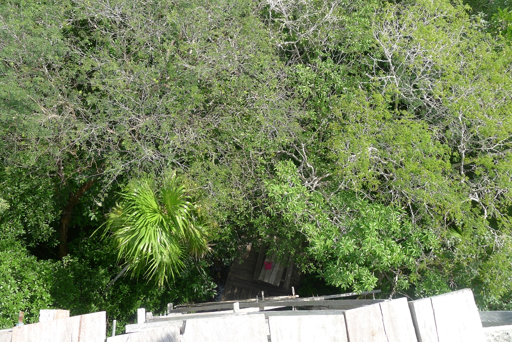 P1240018