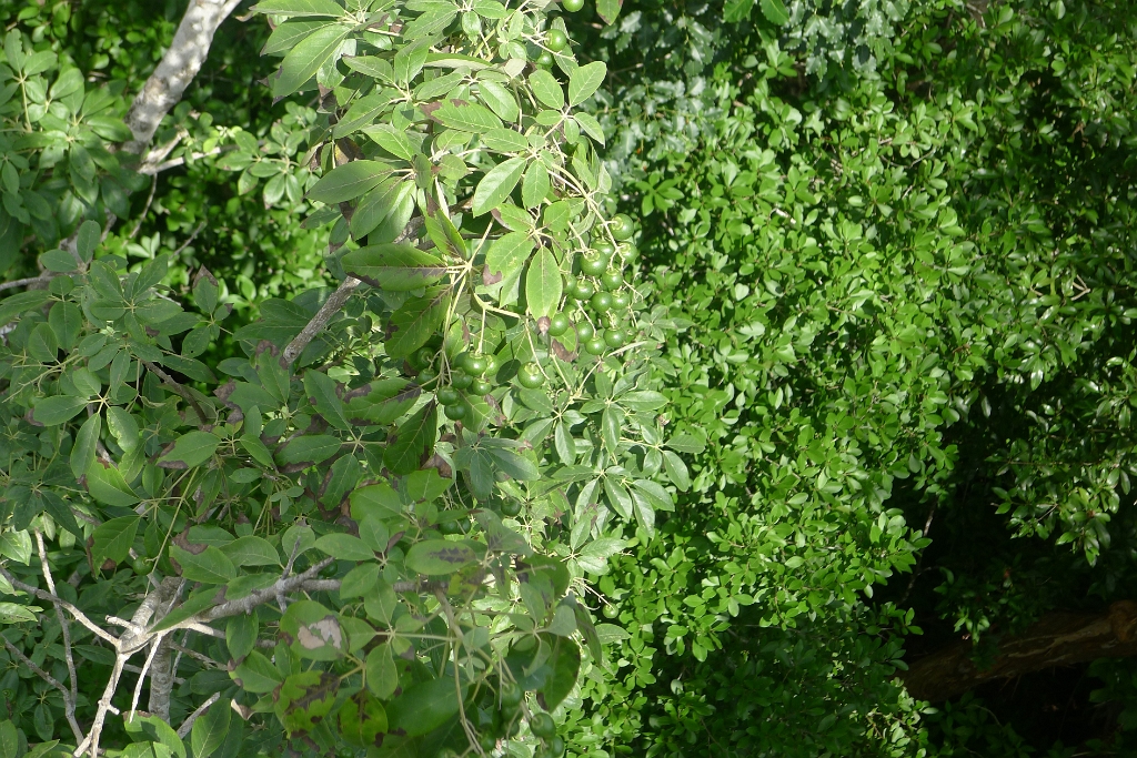 P1240020