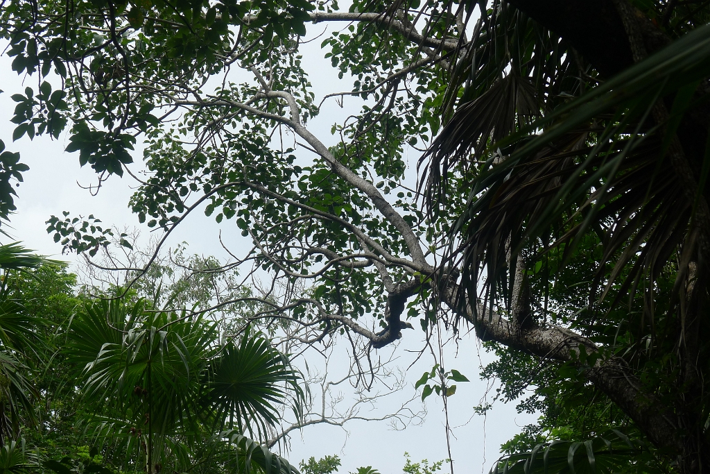 P1240033